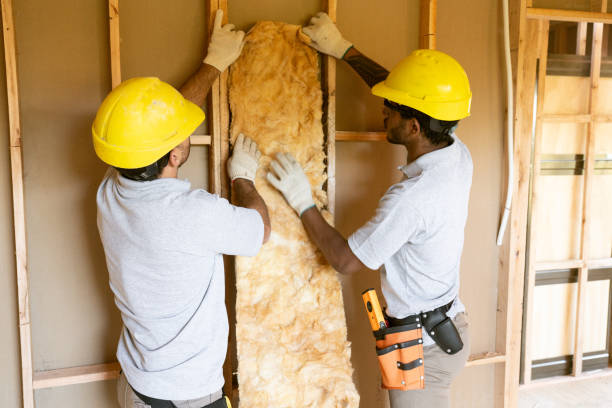 Best Garage Insulation  in Lynwood, IL