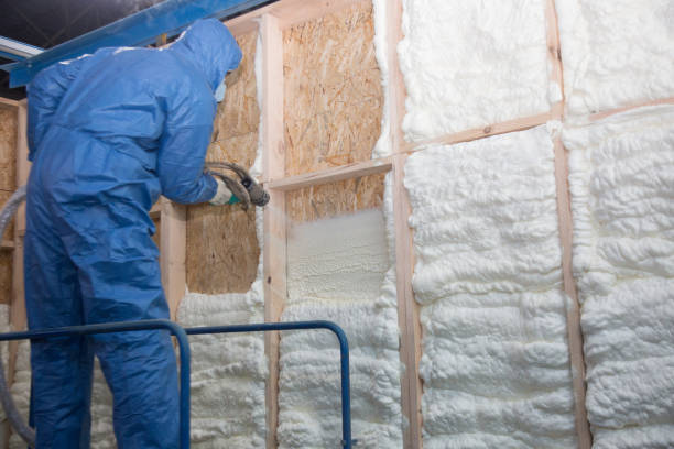 Best Attic Insulation Installation  in Lynwood, IL